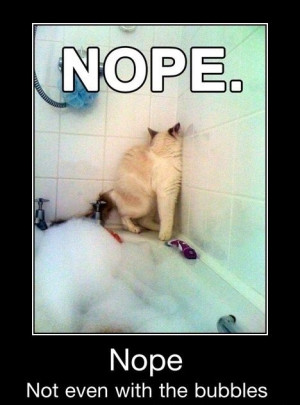 Nope, Not Even With The Bubbles