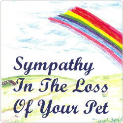 Pet Sympathy Cards