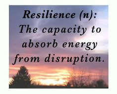 resilience quotes | resilience: the capacity to absorb energy from ...