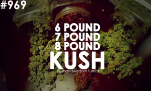 weed quote weed quotes pothead potheads kush weed marijuana dope ...