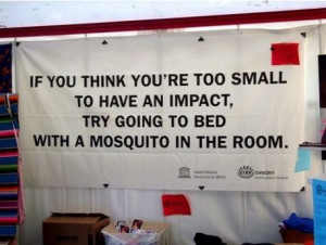 Change the world – If you think you are too small to have an impact ...