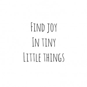 Find joy. Quotes.