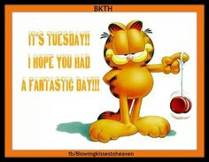 Garfield Tuesday Quotes And Images. QuotesGram