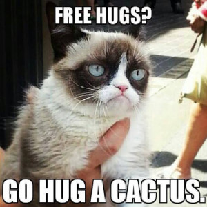 10 New Grumpy Cat Memes
