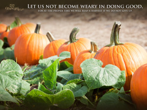 Fall Pictures With Bible Verses Wallpaper · scripture verses