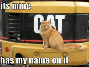 Cat is my name so it's mine!