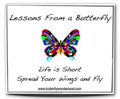 ... ideas sherri butterflies butterflies footprints butterfly s poems or
