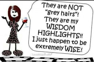 Wisdom highlights hair grey gray