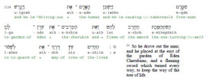... hebrew english interlinear bible part of the fairhaven bible reference
