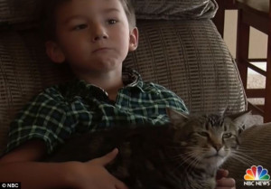 Tara the cat, who saved Jeremy, four, from a vicious dog attack that ...