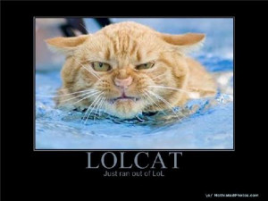 Cat funny motivational poster