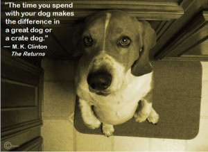 Time well spent. #Dogs #Quotes #BookQuotes