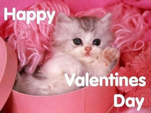 http://www.pictures88.com/valentines-day/cute-kitten-2/