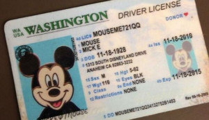 Fake Id Drivers License