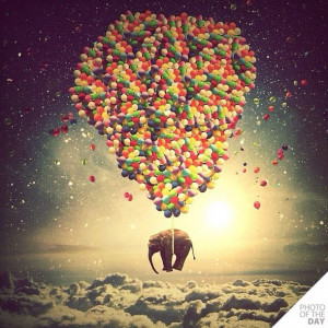 ballons, balloons, clouds, colors, dreams, elephant, fantasy, fly away ...