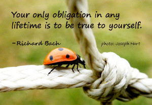 ... obligation in any lifetime is to be true to yourself.