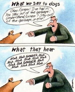 gary-larson-far-side-cartoon-what-we-say-to-dogs-blah-blah-ginger
