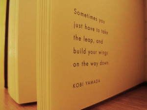 ... you just have to take the leap, and build your wings on the way down