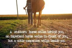 Cowgirls Quotes, Challenges, Inspiration, Life, Stuff, Horses ...