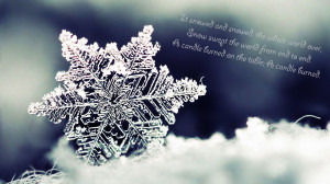 Snowflake picture with a quote by Boris Pasternak