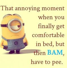 Minions comfortable in bed. See my Minion pins https://www.pinterest ...