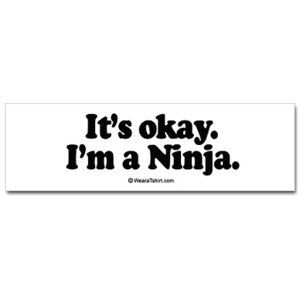 It's okay, I'm a Ninja quote for Kat!