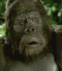 George Of The Jungle Ape Grouchy Ape