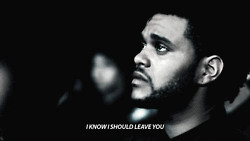 1k mine quote The Weeknd the weeknd quote the weeknd gif belong to the ...