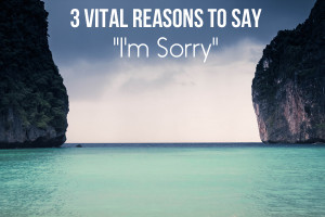 Vital-Reasons-To-Say.jpg