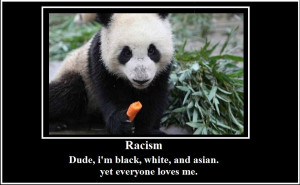 Panda racism by OrigamiSushiPanda