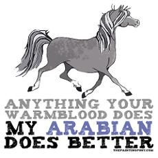 quotes arabian horse poster more horse quotes arabian horses quotes ...