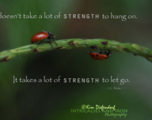 Lady Bugs - Strength - Quote by J. C. Watts ...