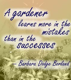 gardener learns more in the mistakes beautiful garden More