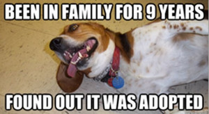 Dog Comes To Terms With Being An Adopted Member Of The Family