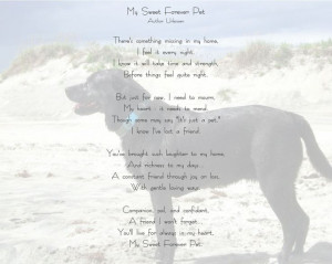My sweet forever pet ♥: Dogs Poem, Personal Pet, Beloved Dogs, Pet ...