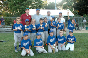 Reviving Baseball in Inner Cities (RBI)