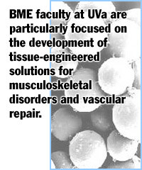 Tissue Engineering and Biomaterials