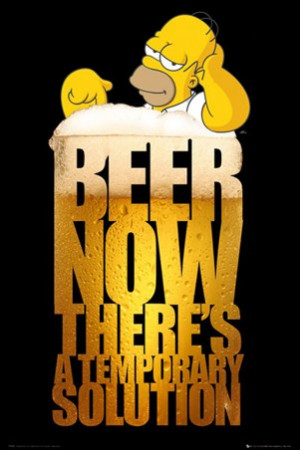 Beer; A Temporary Solution - Homer Simpson
