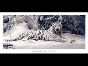White Tigers Quotes