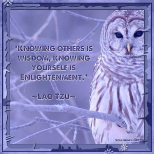  Love  Owl  Quotes  QuotesGram