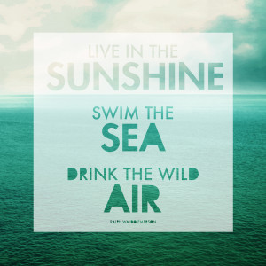 Hope You Have A Beautiful Day Quotes Than that if you wish.