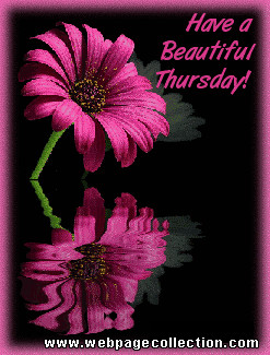 Happy Thursday Comments and Graphics Codes for Myspace, Friendster ...