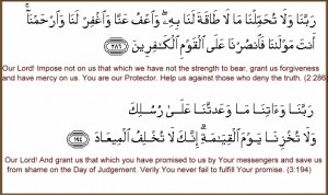 Activity-*Share Qur'anic Quotes*