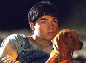 Where The Red Ferns Grow