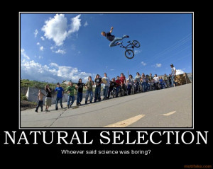 Natural selection ( www.motifake.com )