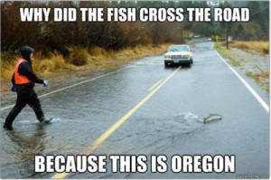 Friday Funny – Why Did the Fish Cross the Road?