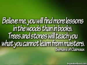 Believe Me, You Will Find More Lessons In The Woods Than in Books ...