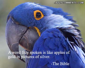 Download HD Christmas Bible Verse Greetings Card & Wallpapers Free