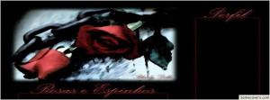 Goth Butterfly Girl Rose Facebook Timeline Cover
