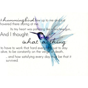 Klaus hummingbird quote